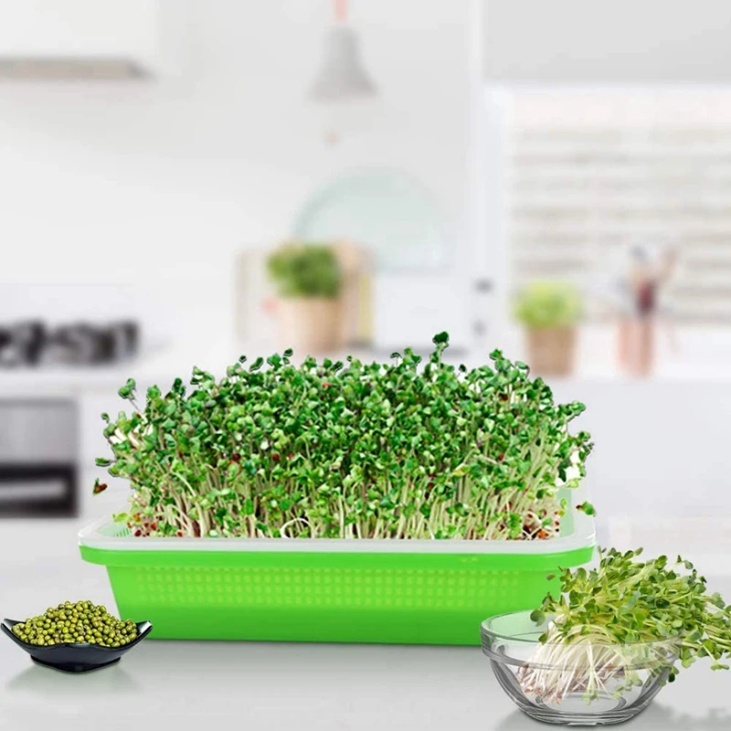 4 Pack Garden Sprout Tray with Cover Soil-Free Seeds Grower and Storage Trays for Garden Home Kitchen Use
4 Pack Garden Sprout Tray with Cover Soil-Free Seeds Grower and Storage Trays for Garden Home Kitchen Use