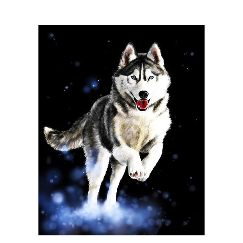 GATYZTORY Cute Husky dog DIY Painting By Numbers for kids adults acrylic Painting diy Pictures by numbers on canvas Unique Gift
GATYZTORY Cute Husky dog DIY Painting By Numbers for kids adults acrylic Painting diy Pictures by numbers on canvas Unique Gift