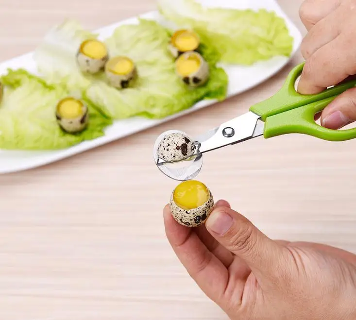 Quail Scissors Egg Cutter Eggs Opener Quail Eggs Scissor Eggshell Cracker Stainless Steel Blade Kitchen Tools Wholesale
Quail Scissors Egg Cutter Eggs Opener Quail Eggs Scissor Eggshell Cracker Stainless Steel Blade Kitchen Tools Wholesale