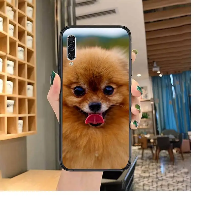 Pomeranian Pomcute dog high quality Phone Case coque For Samsung A20 A30 30s A40 A7 2018 J2 J7 prime J4 Plus S5 Note 9 10 Plus
Pomeranian Pomcute dog high quality Phone Case coque For Samsung A20 A30 30s A40 A7 2018 J2 J7 prime J4 Plus S5 Note 9 10 Plus