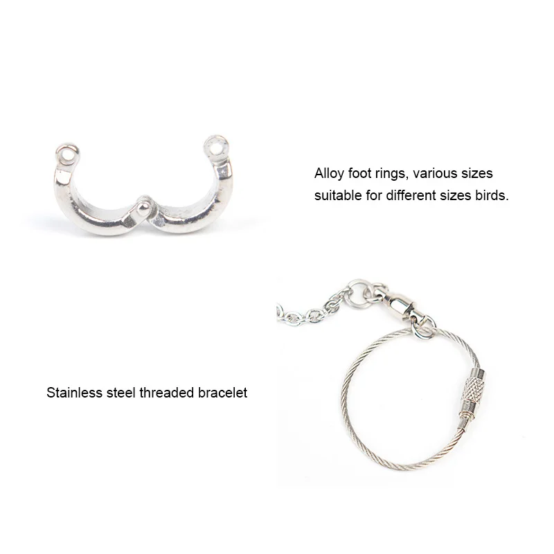 Pet Bird Pigeon Parrot Leg Ring Stainless Steel Chain Bird Supplies Parrot Anti-flying Traction Chain Foot Ring Accessories
Pet Bird Pigeon Parrot Leg Ring Stainless Steel Chain Bird Supplies Parrot Anti-flying Traction Chain Foot Ring Accessories