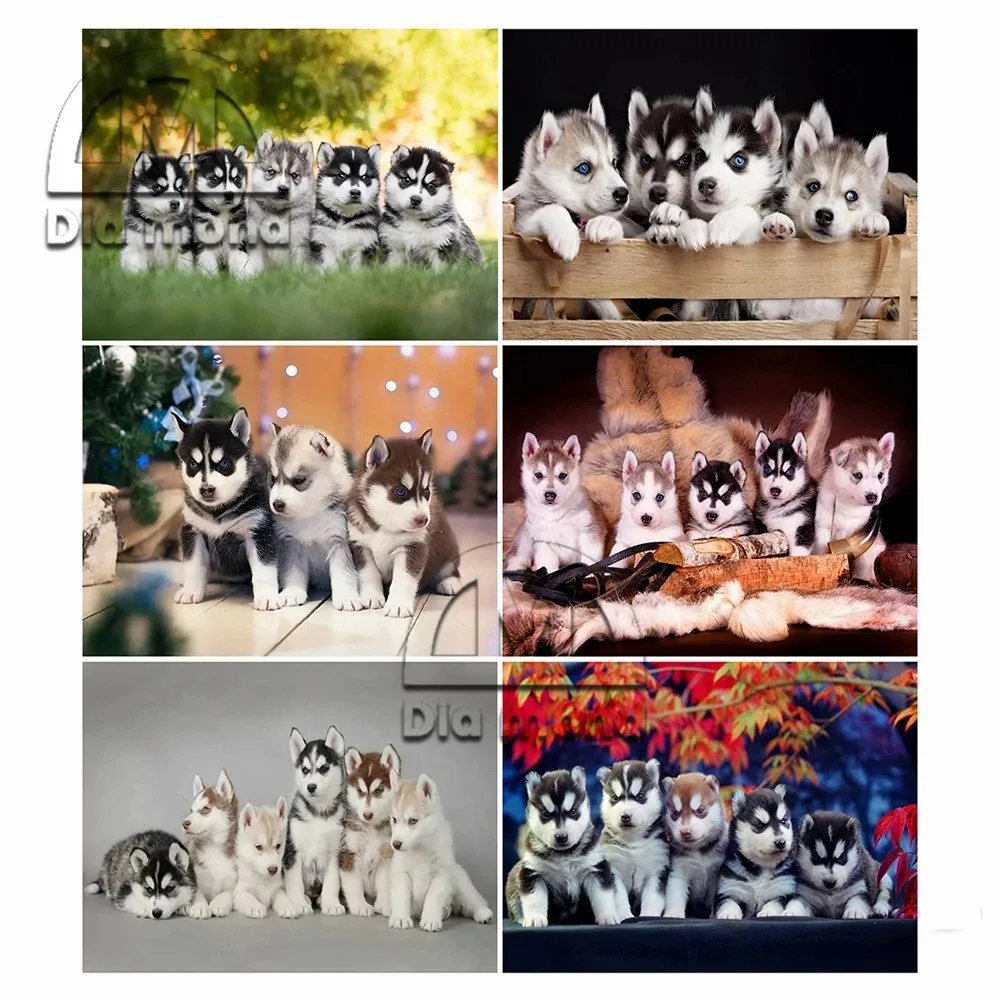 Puppy Pets 5D Diy Diamond Painting Dog Husky Diamond Embroidery Cross Stitch Animal Mosaic Art Rhinestone Home Decoration Gifts
Puppy Pets 5D Diy Diamond Painting Dog Husky Diamond Embroidery Cross Stitch Animal Mosaic Art Rhinestone Home Decoration Gifts