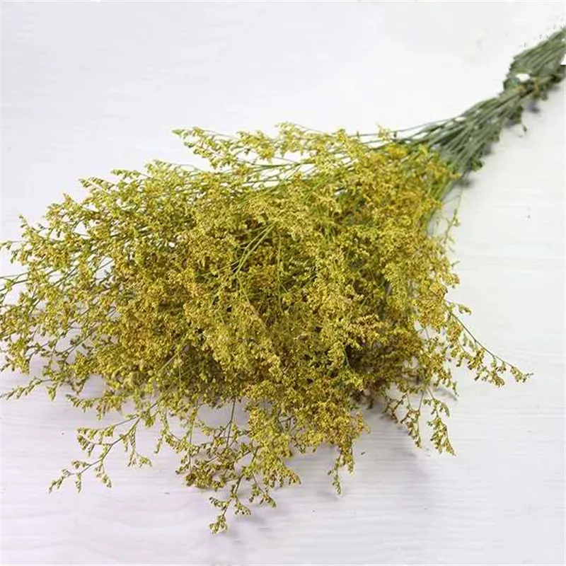 100G Dried Lover Grass Flower 50CM Bouquet for Wedding Decor DIY Craft Flower Bouquet Ornament 100G
100G Dried Lover Grass Flower 50CM Bouquet for Wedding Decor DIY Craft Flower Bouquet Ornament 100G