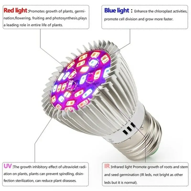 Wholesale 10pieces Full Spectrum E27 E14 GU1O LED Plant Grow Lights 28W LED Lights Growing Lamp
Wholesale 10pieces Full Spectrum E27 E14 GU1O LED Plant Grow Lights 28W LED Lights Growing Lamp