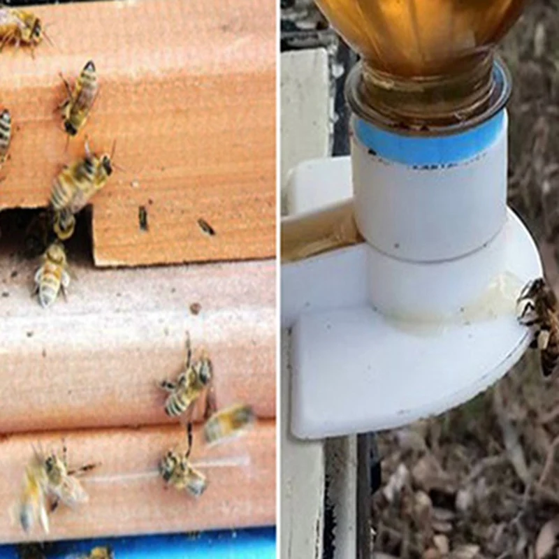 10 pieces hive beekeeping entrance beverage machine beekeeping door tool beekeeping beekeeping
10 pieces hive beekeeping entrance beverage machine beekeeping door tool beekeeping beekeeping