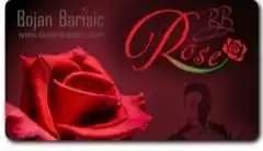 2020 BB Rose by Bojan Barisic , Magic tricks
2020 BB Rose by Bojan Barisic , Magic tricks