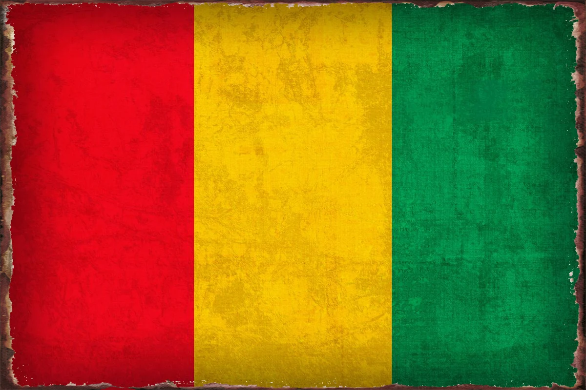Guinea Flag on Distressed Canvas Vintage Metal Sign Tin Sign Tin Plates Wall Decor Room Decoration Retro For Club Cafe
Guinea Flag on Distressed Canvas Vintage Metal Sign Tin Sign Tin Plates Wall Decor Room Decoration Retro For Club Cafe