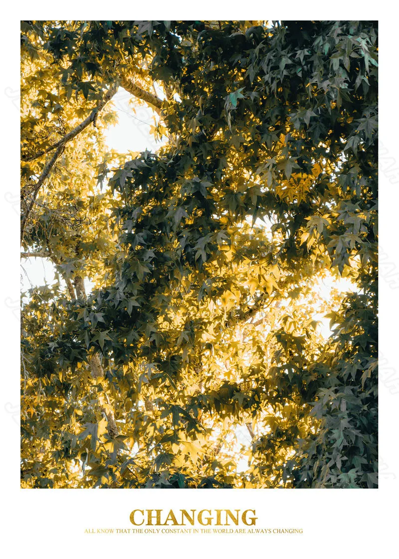 Yellow Balloon Beauty Landscape Poster Nordic Style Waterproof Ink Painting Print Art Painting Modern Bedroom Decoration
Yellow Balloon Beauty Landscape Poster Nordic Style Waterproof Ink Painting Print Art Painting Modern Bedroom Decoration