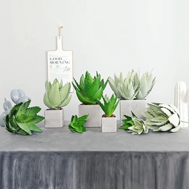 Simulation of Green Plants 30cm Long SucculentAloe, Suitable for Home Living Room, Hotel, Shopping Mall, Office Scene Decoration
Simulation of Green Plants 30cm Long SucculentAloe, Suitable for Home Living Room, Hotel, Shopping Mall, Office Scene Decoration