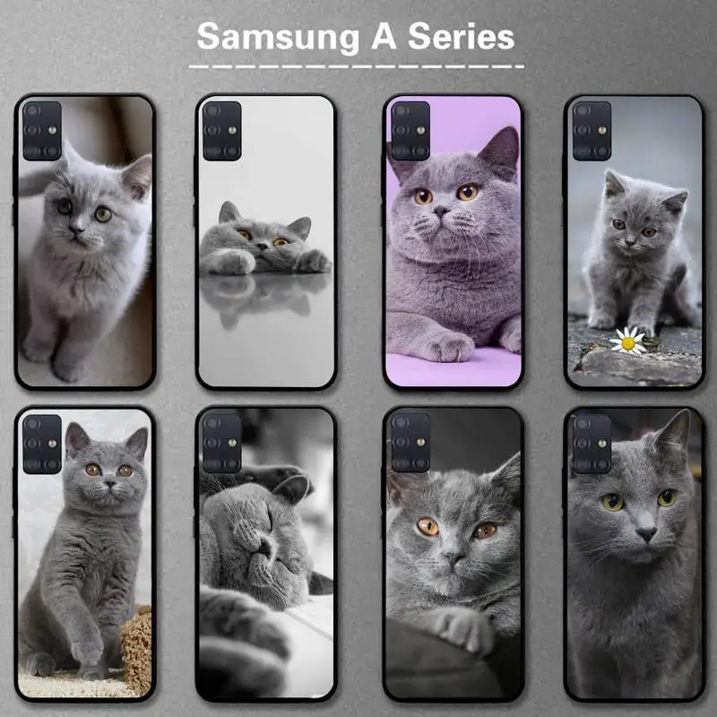 Красивый серый Британский короткий телефонный чехол в виде кота для Samsung A20s A30S A31 A40 A50S A51 A70 A71 A80 5G A32 A02 Fundas Coque
Красивый серый Британский короткий телефонный чехол в виде кота для Samsung A20s A30S A31 A40 A50S A51 A70 A71 A80 5G A32 A02 Fundas Coque