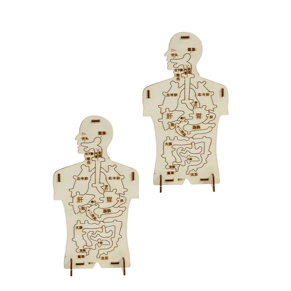 2 набора креативных детских стереоскопических моделей человеческих органов, головоломки
2 набора креативных детских стереоскопических моделей человеческих органов, головоломки