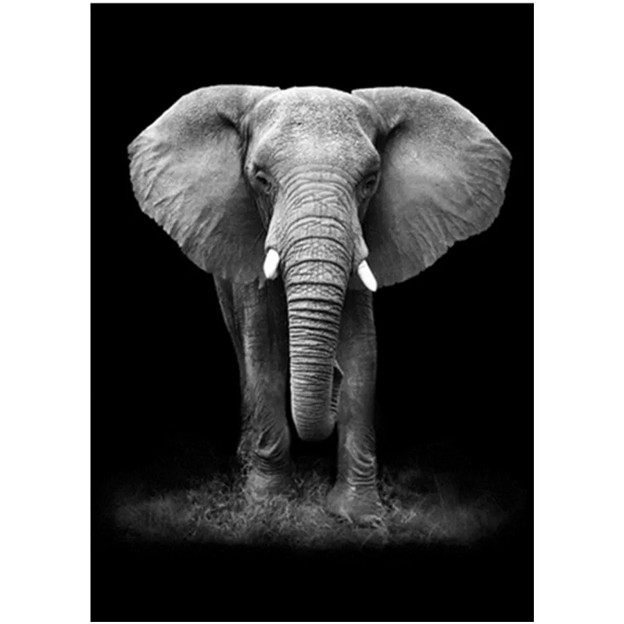 Black White Diamond Painting Full Square Drill Cross Stitch Animal Diamond Embroidery Sale Mosaic Crafts Kit
Black White Diamond Painting Full Square Drill Cross Stitch Animal Diamond Embroidery Sale Mosaic Crafts Kit