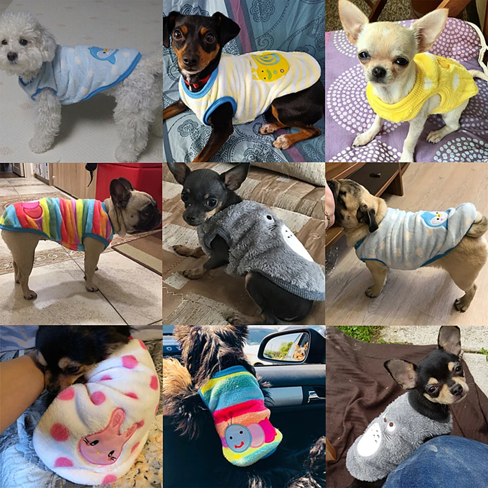 Winter Cartoon Pet Dog Clothes Soft Fleece Puppy Coat Warm Caterpillar Rainbow Vest Striped Cat Shirt
Winter Cartoon Pet Dog Clothes Soft Fleece Puppy Coat Warm Caterpillar Rainbow Vest Striped Cat Shirt