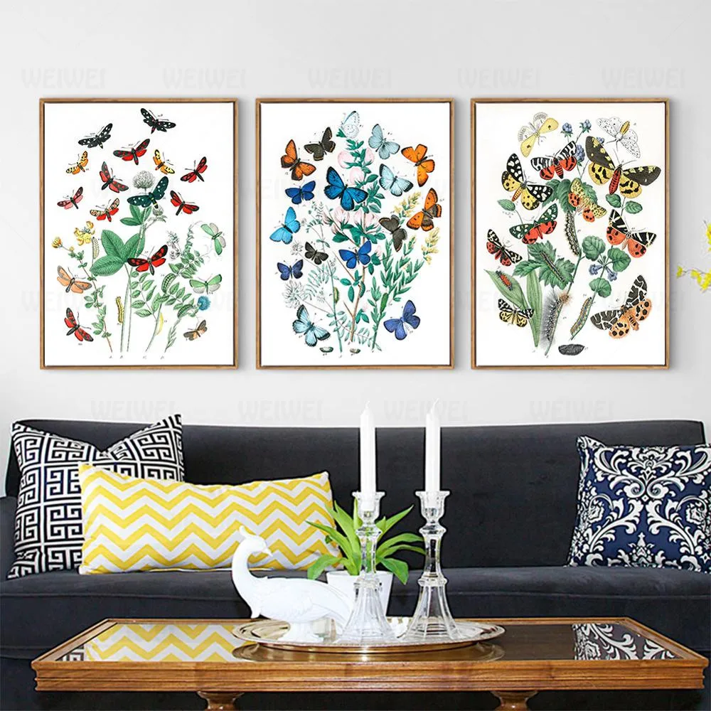 Vintage 1882 Insects Encyclopedia Posters European Butterflies And Moths Classic Canvas Paintings Wall Stickers Nursery Decor
Vintage 1882 Insects Encyclopedia Posters European Butterflies And Moths Classic Canvas Paintings Wall Stickers Nursery Decor