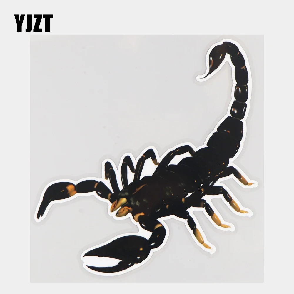 YJZT 15.5×15.8CM Emperor Scorpion Animal Funny Car Sticker Decoration Scratches Decals 21A-0618
YJZT 15.5×15.8CM Emperor Scorpion Animal Funny Car Sticker Decoration Scratches Decals 21A-0618