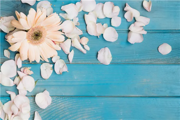 SHENGYONGBAO Art Fabric Custom Christmas Photography Backdrops Prop flower and Wood Planks Photo Studio Background V191102-77
SHENGYONGBAO Art Fabric Custom Christmas Photography Backdrops Prop flower and Wood Planks Photo Studio Background V191102-77