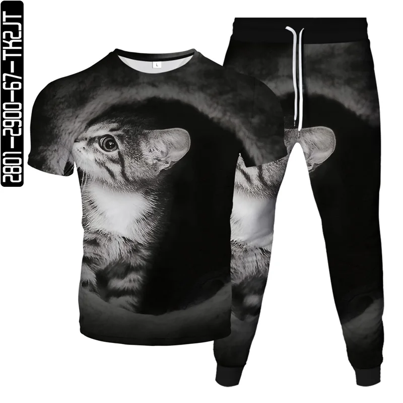 2021 Summer Short sleeve T-shirt Suits Men Fashion 3D Ink Print Cats T-shirts Pants Casual Jogger Unisex Suit Tracksuit Pullover
2021 Summer Short sleeve T-shirt Suits Men Fashion 3D Ink Print Cats T-shirts Pants Casual Jogger Unisex Suit Tracksuit Pullover