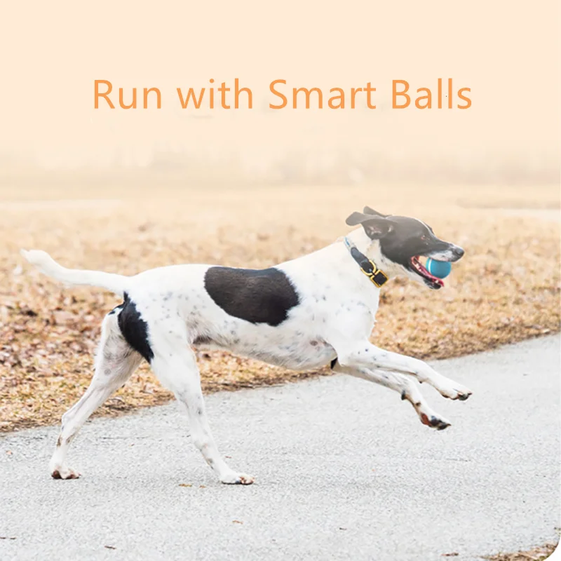 Wickedball Pet Toy Plush Ball For Cats Dogs Automatic and Rechargeable Smart BallsAnti-bite
Wickedball Pet Toy Plush Ball For Cats Dogs Automatic and Rechargeable Smart BallsAnti-bite