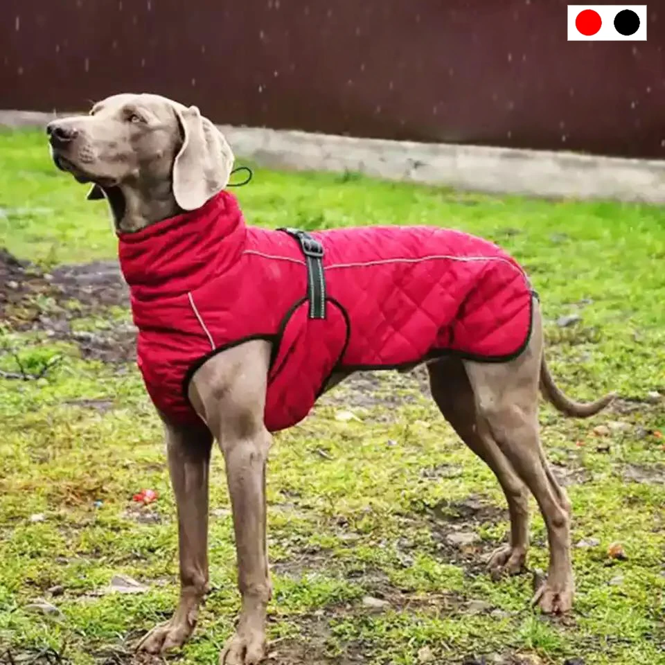 Dog Outdoor Jacket Waterproof Dog Clothes Vest Winter Warm Cotton Dogs Clothing for Large Middle Dogs Labrador red black
Dog Outdoor Jacket Waterproof Dog Clothes Vest Winter Warm Cotton Dogs Clothing for Large Middle Dogs Labrador red black