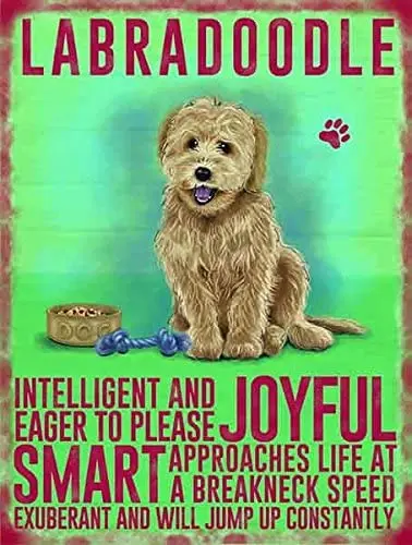 Labradoodle Dog Metal Wall Sign Decor Plaque Funny Pet Shop Wall Retro Home Decoration Metal Tin Sign 8x12 or 12x16 Inches
Labradoodle Dog Metal Wall Sign Decor Plaque Funny Pet Shop Wall Retro Home Decoration Metal Tin Sign 8x12 or 12x16 Inches