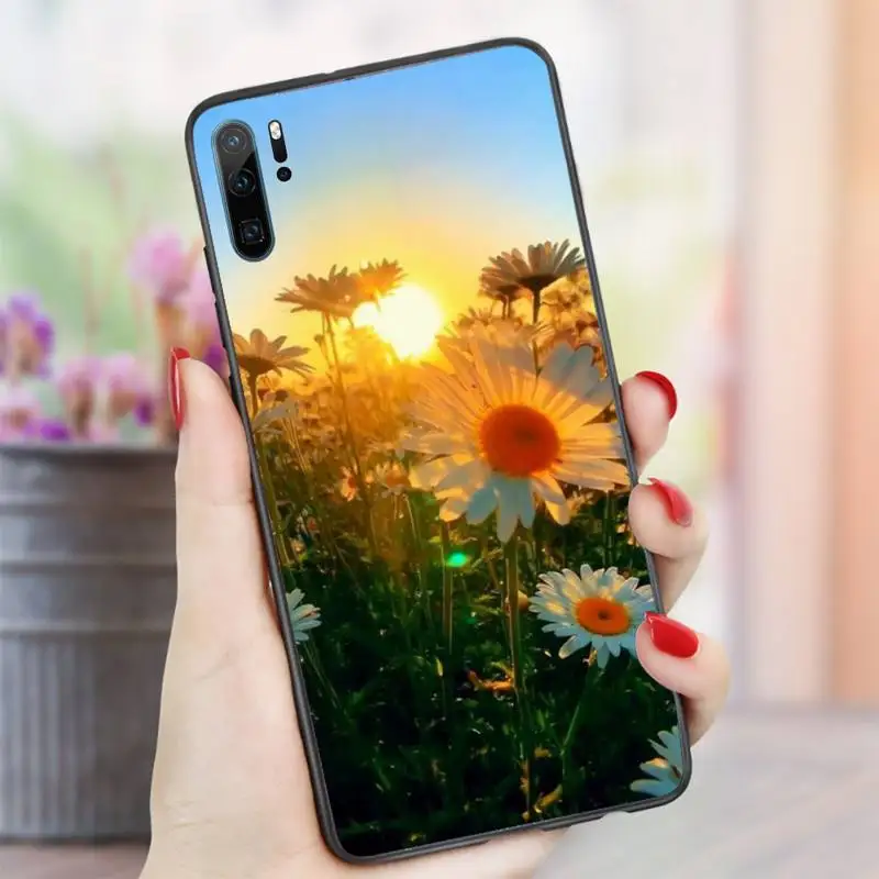 Sunflower flower plant Phone Case For Huawei honor Mate P 10 20 30 40 i 9 8 pro x Lite smart 2019 nova 5t
Sunflower flower plant Phone Case For Huawei honor Mate P 10 20 30 40 i 9 8 pro x Lite smart 2019 nova 5t