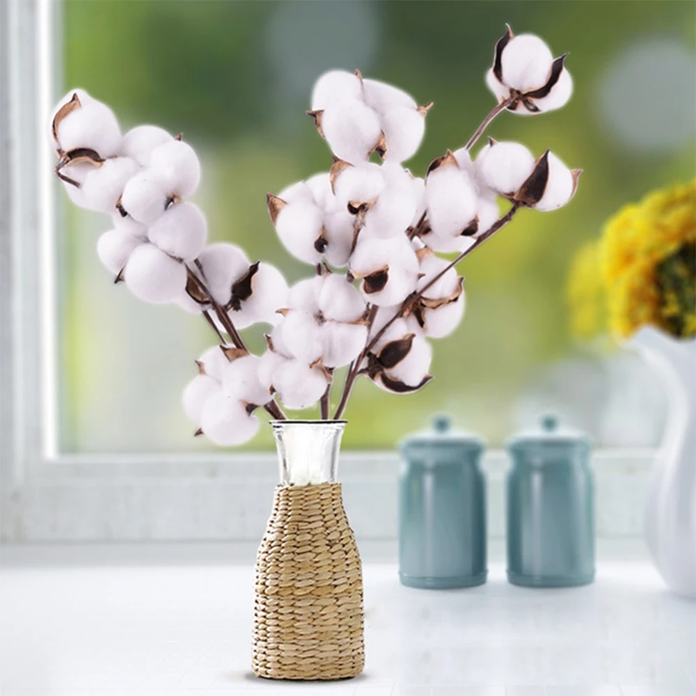 10pc Naturally Dried Cotton Flowers Artificial Plants Floral Branch Wedding Party Decoration Fake Flowers Home Artificial Decor
10pc Naturally Dried Cotton Flowers Artificial Plants Floral Branch Wedding Party Decoration Fake Flowers Home Artificial Decor