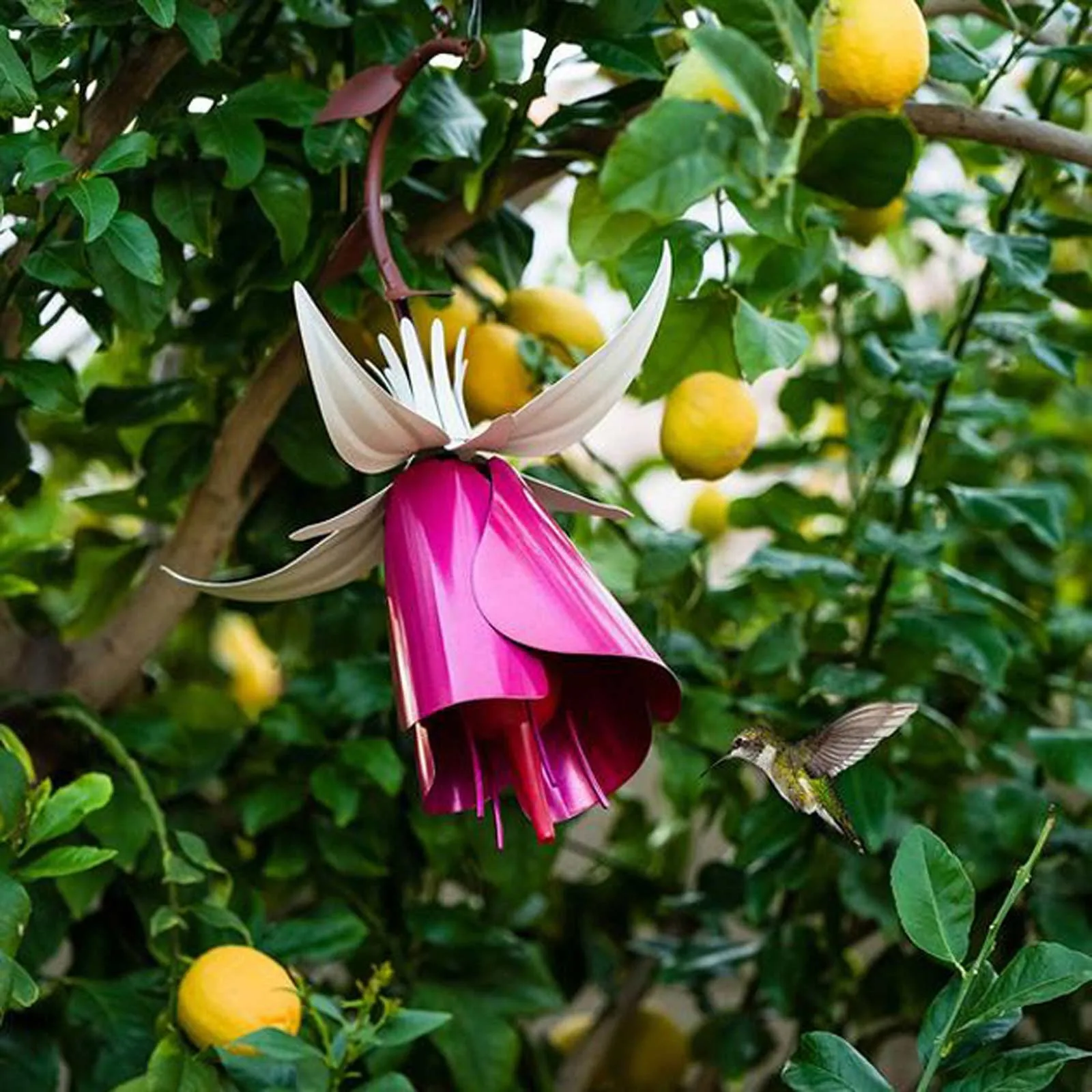 Bottle Hanging Hummingbird Feeder, Floral Design Bird Feeder-easy To Clean, Gift For Hummingbir Outdoor Pet Bird Supplies
Bottle Hanging Hummingbird Feeder, Floral Design Bird Feeder-easy To Clean, Gift For Hummingbir Outdoor Pet Bird Supplies