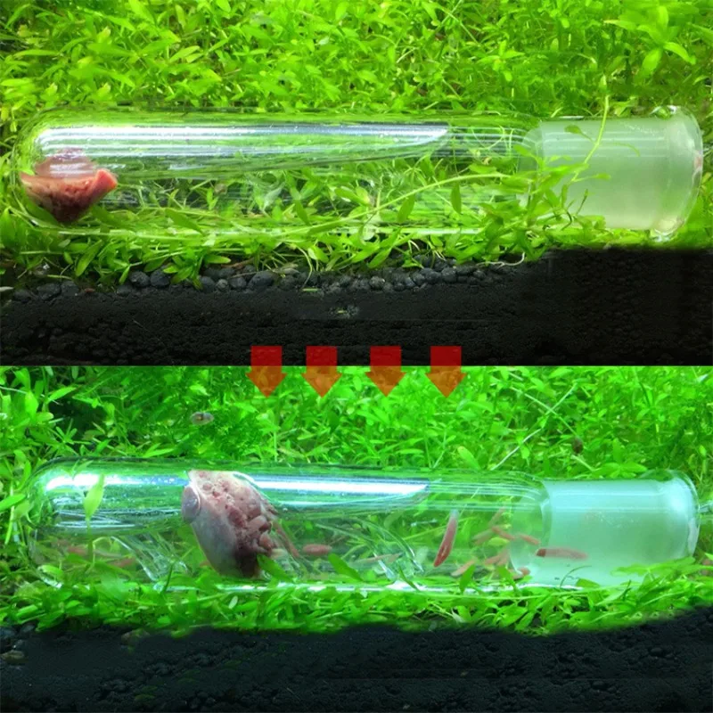 Aquarium Worm Trap Fish Tank Pest Catch Trap Glass Clear Leech Catcher For Planarian Flatworm
Aquarium Worm Trap Fish Tank Pest Catch Trap Glass Clear Leech Catcher For Planarian Flatworm