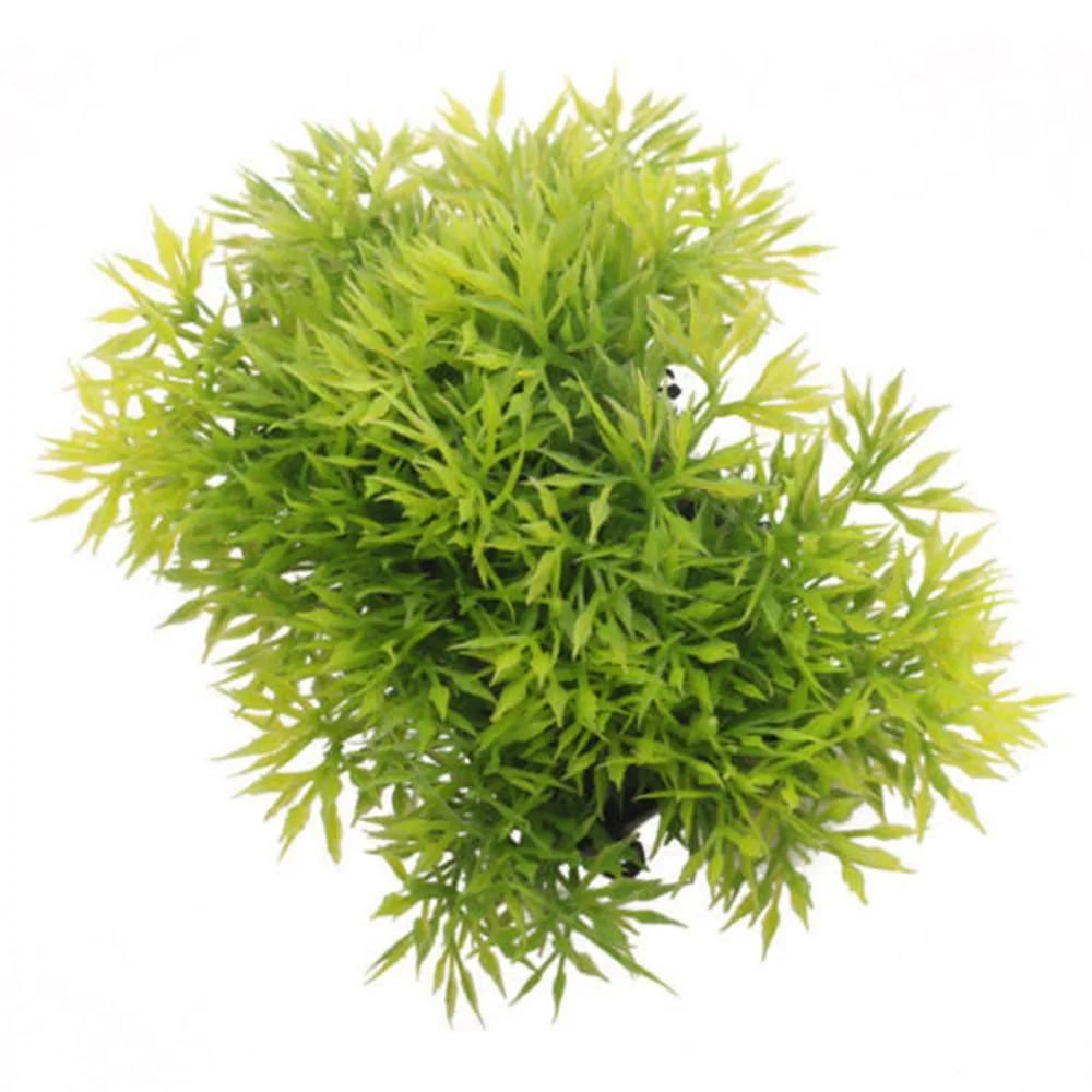 1pc Artificial Aquarium Decoration Plastic Plant Fish Tank Plant Grass Ornament Decor Aquarium Decor Plant Landscape
1pc Artificial Aquarium Decoration Plastic Plant Fish Tank Plant Grass Ornament Decor Aquarium Decor Plant Landscape