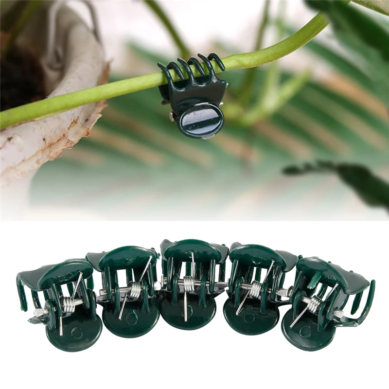 100PCS Plastic Plant Support Clips Orchid Stem Clip for Vine Support Vegetables Flower Tied Bundle Branch Clamping Garden Tool 
100PCS Plastic Plant Support Clips Orchid Stem Clip for Vine Support Vegetables Flower Tied Bundle Branch Clamping Garden Tool