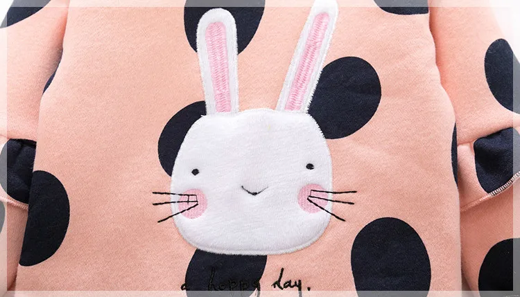 Spring Toddler Girl Cute Rabbit Fleece Sweatshirts Hoodies+Pants 2 Pcs Suit Kids Clothes Baby Girls Cotton Sets Costumes Outfit
Spring Toddler Girl Cute Rabbit Fleece Sweatshirts Hoodies+Pants 2 Pcs Suit Kids Clothes Baby Girls Cotton Sets Costumes Outfit