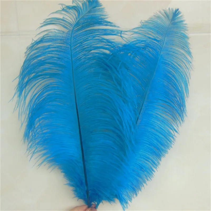 Wholesale 20 Pieces Of Natural Ostrich Feather 40-45cm Decoration DIY Making Wedding Banquet Feather Decoration 11 Colors Choice
Wholesale 20 Pieces Of Natural Ostrich Feather 40-45cm Decoration DIY Making Wedding Banquet Feather Decoration 11 Colors Choice
