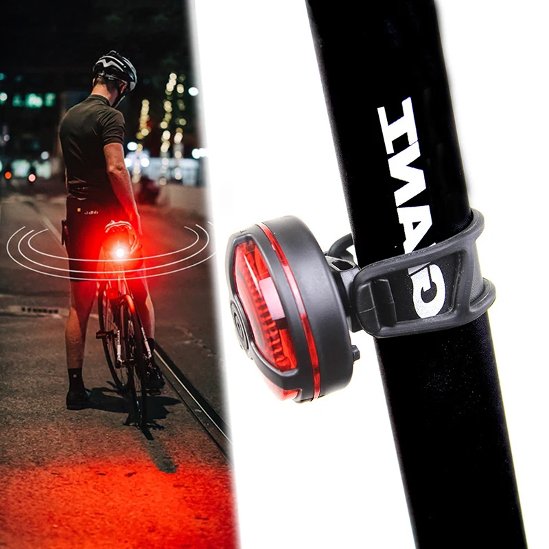 New Bike Bicycle Lights USB Rechargeable IPx4 Waterproof Night Riding Warning Cycling Taillight Light LED Light Bike Accessories
New Bike Bicycle Lights USB Rechargeable IPx4 Waterproof Night Riding Warning Cycling Taillight Light LED Light Bike Accessories