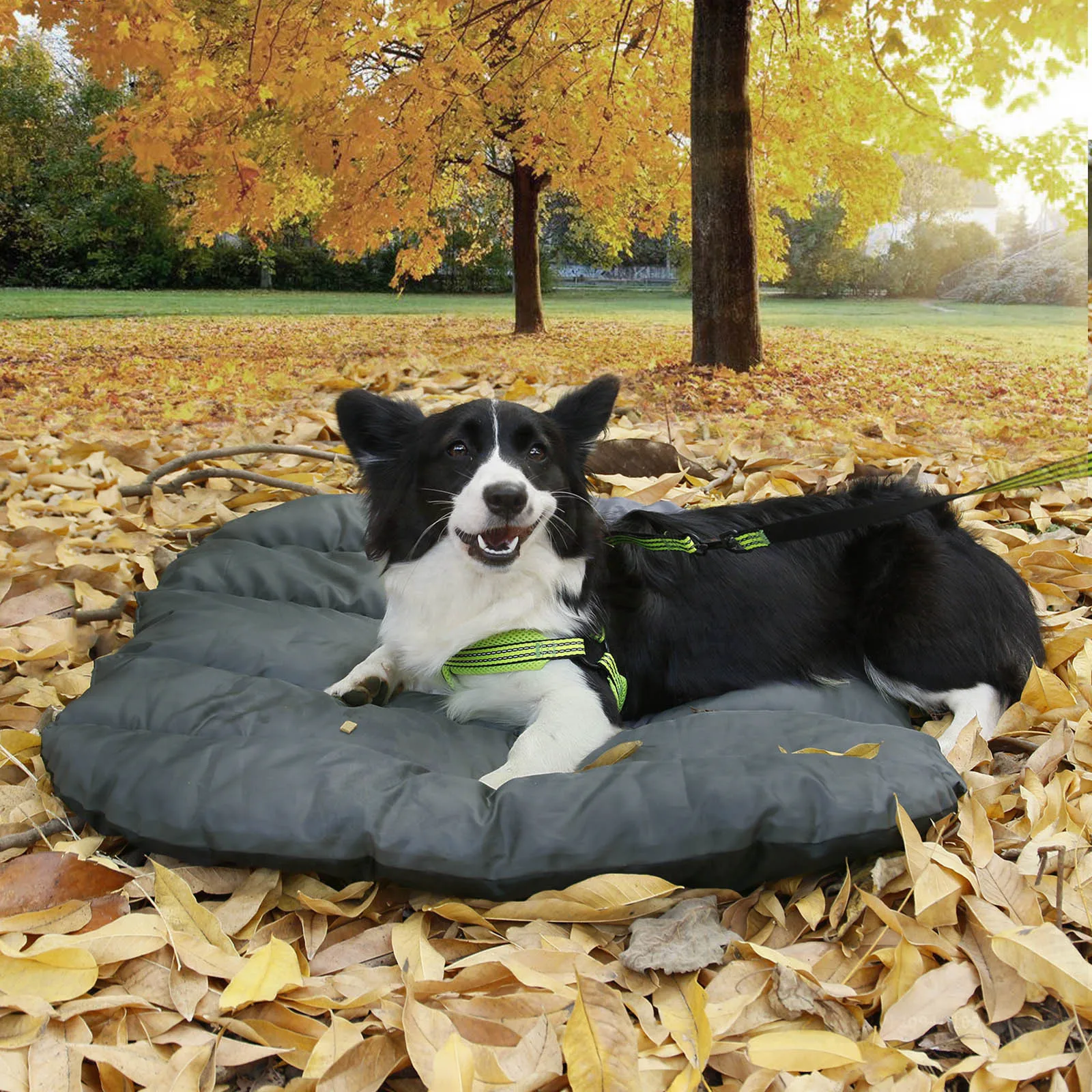 Outdoor Dog Bed Blanket Portable Dog Cushion Mat Waterproof Soft Kennel Foldable Puppy Pad Nest For Small Medium Dogs
Outdoor Dog Bed Blanket Portable Dog Cushion Mat Waterproof Soft Kennel Foldable Puppy Pad Nest For Small Medium Dogs