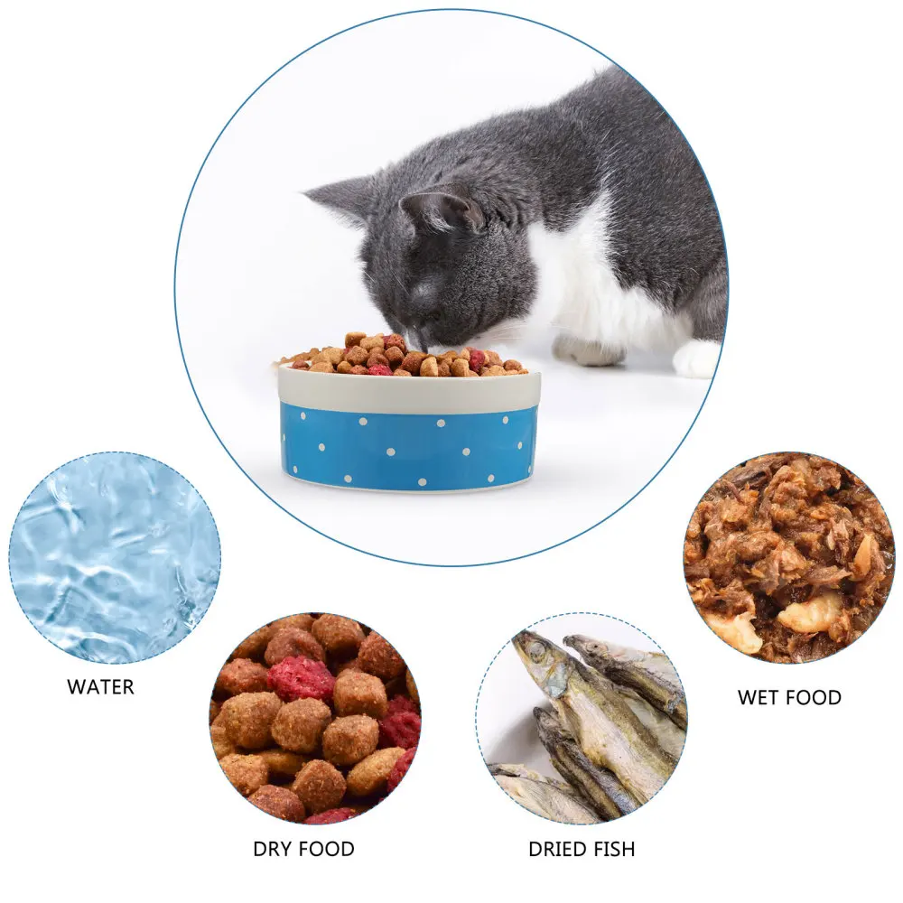 Ceramic Cat Drinking Bowl Pet Food Bowl Creative Puppy Dish Dog Bowl Pet Supply
Ceramic Cat Drinking Bowl Pet Food Bowl Creative Puppy Dish Dog Bowl Pet Supply