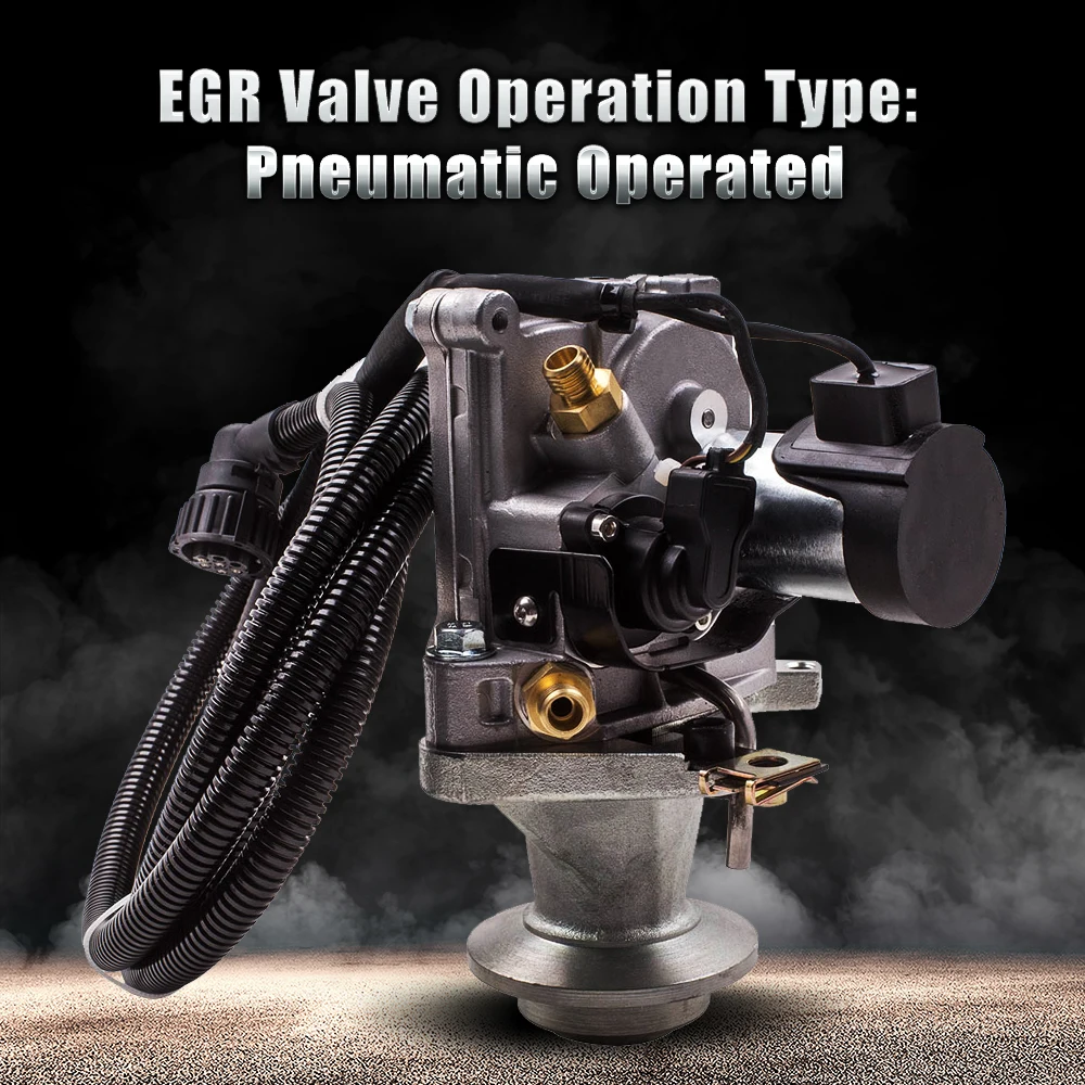 Exhaust EGR Valve Outlet AGR For Volvo VNM VNL VHD Abarth 1600 Base 1.6L 9045004
Exhaust EGR Valve Outlet AGR For Volvo VNM VNL VHD Abarth 1600 Base 1.6L 9045004