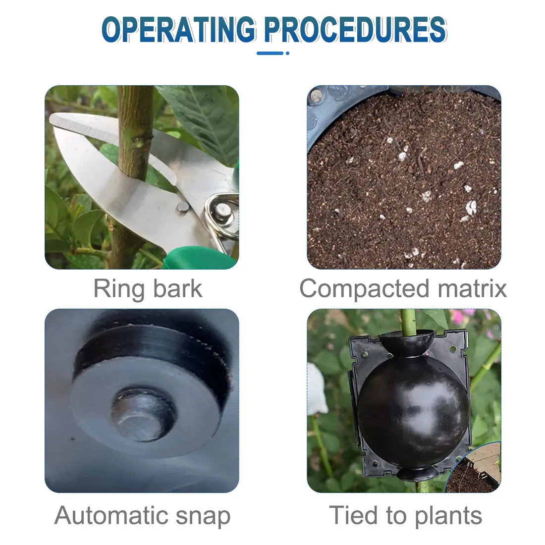 5pcs Garden Plant Adjustable Transplantation Ball Breeding Case Plant Rooting Ball Grafting Rooting Growing Breeding Case
5pcs Garden Plant Adjustable Transplantation Ball Breeding Case Plant Rooting Ball Grafting Rooting Growing Breeding Case