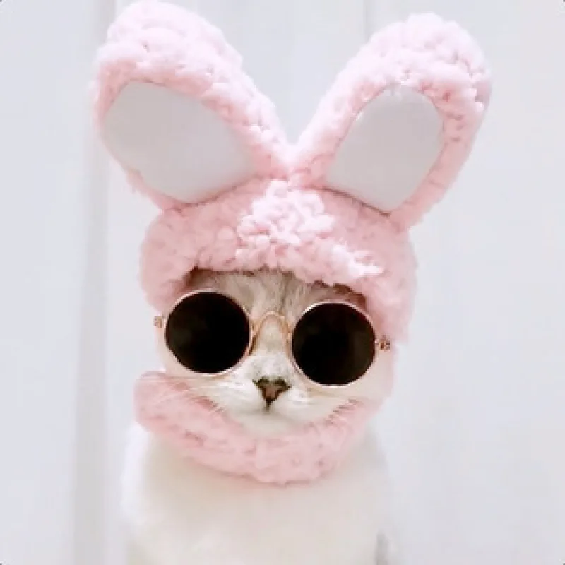 Pet Headdress Cute Cat Teddy Holiday Dress Up Sun Trick Fortune Headdress Wig Cat Headgear Hat
Pet Headdress Cute Cat Teddy Holiday Dress Up Sun Trick Fortune Headdress Wig Cat Headgear Hat