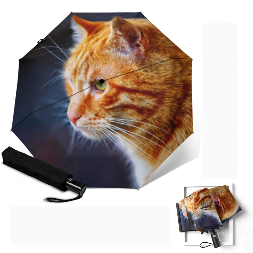 Cute Cat Printed Automatic Umbrella Quick Drying Rainy Folding Umbrella Rain Women Portable Parapluie Rain For Women Rain Tools 
Cute Cat Printed Automatic Umbrella Quick Drying Rainy Folding Umbrella Rain Women Portable Parapluie Rain For Women Rain Tools