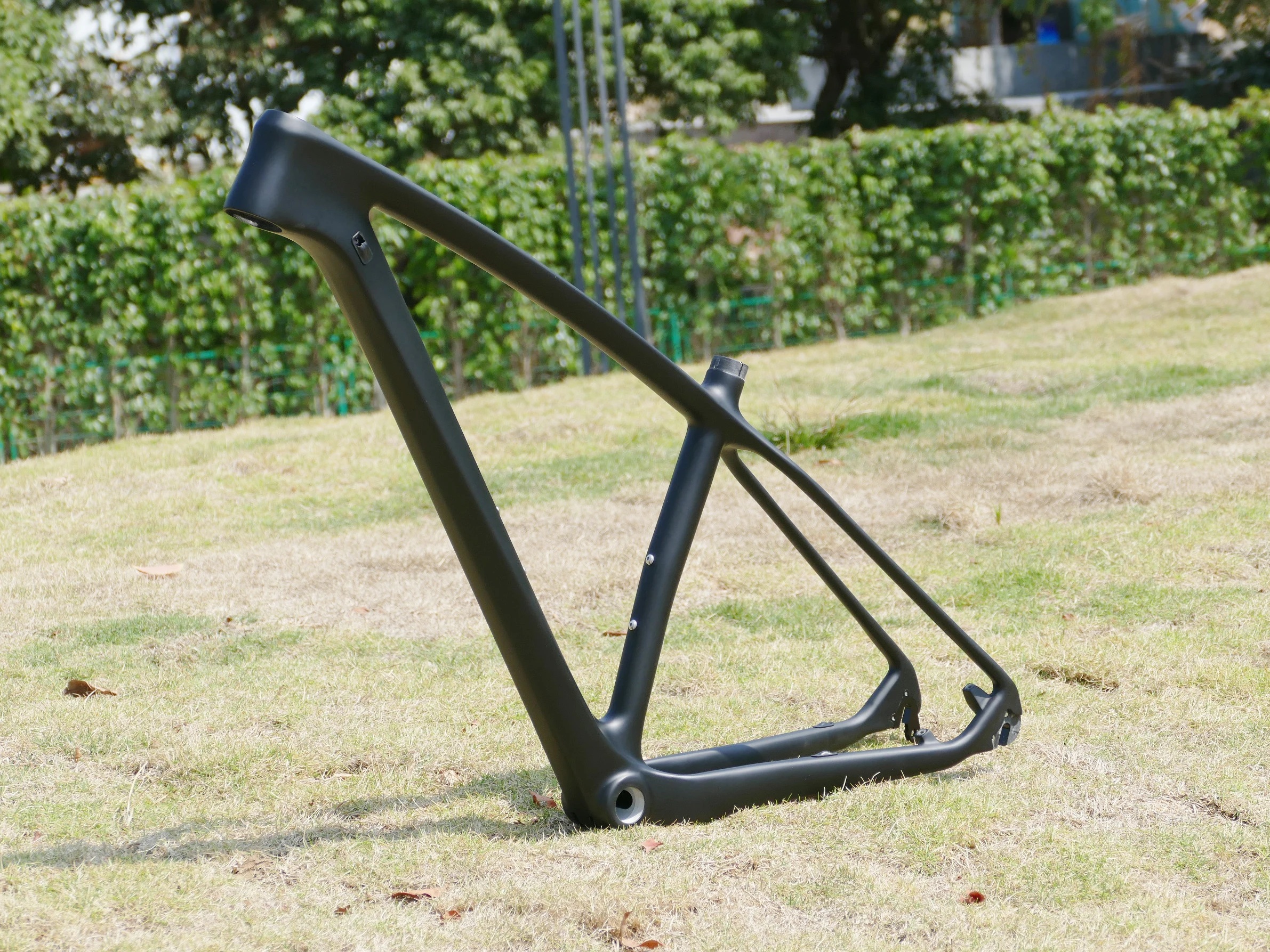 

Совершенно новый полностью карбоновый UD матовый горный велосипед FLYXII MTB 29ER велосипед BSA рама S, M, L сквозная ось 142*12 мм/QR 135 мм
