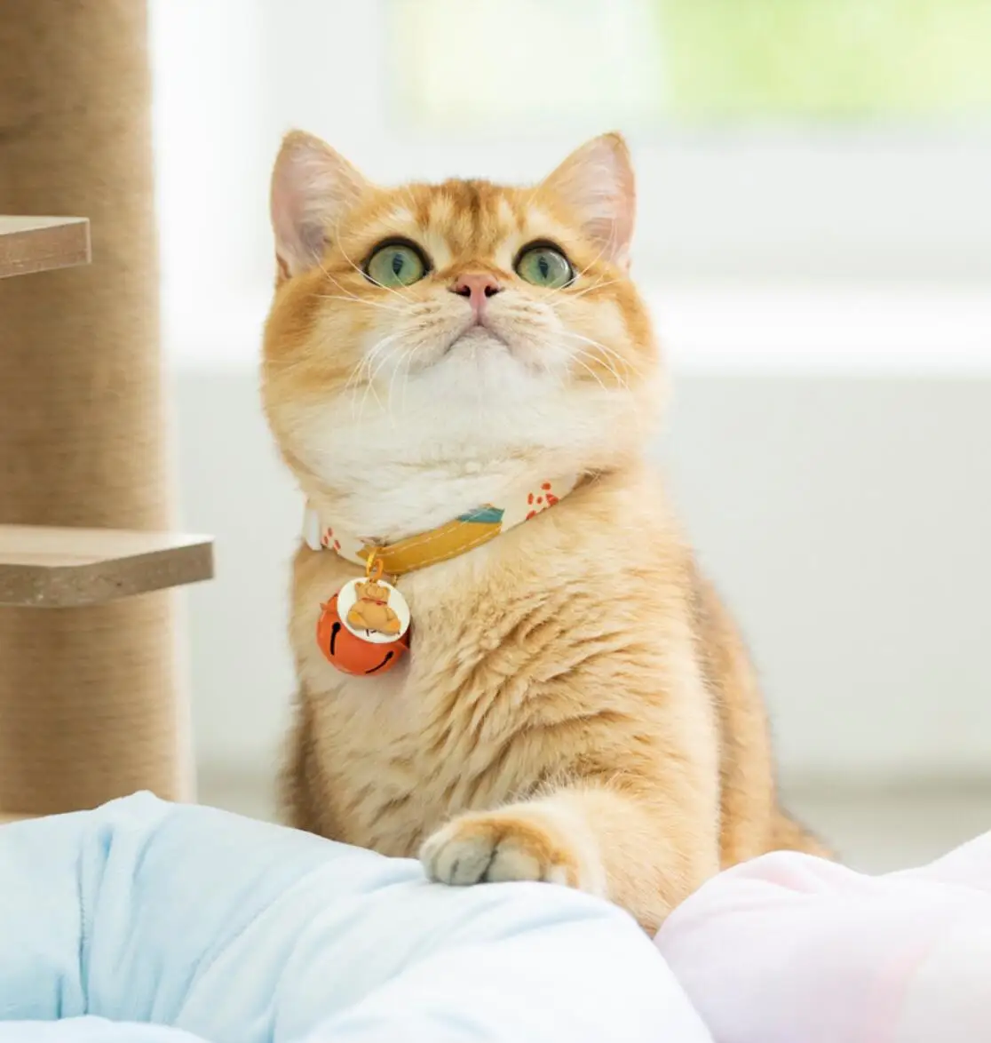 Japanese style cat collar Japanese style cute sweet cat bell collar cat ring
Japanese style cat collar Japanese style cute sweet cat bell collar cat ring
