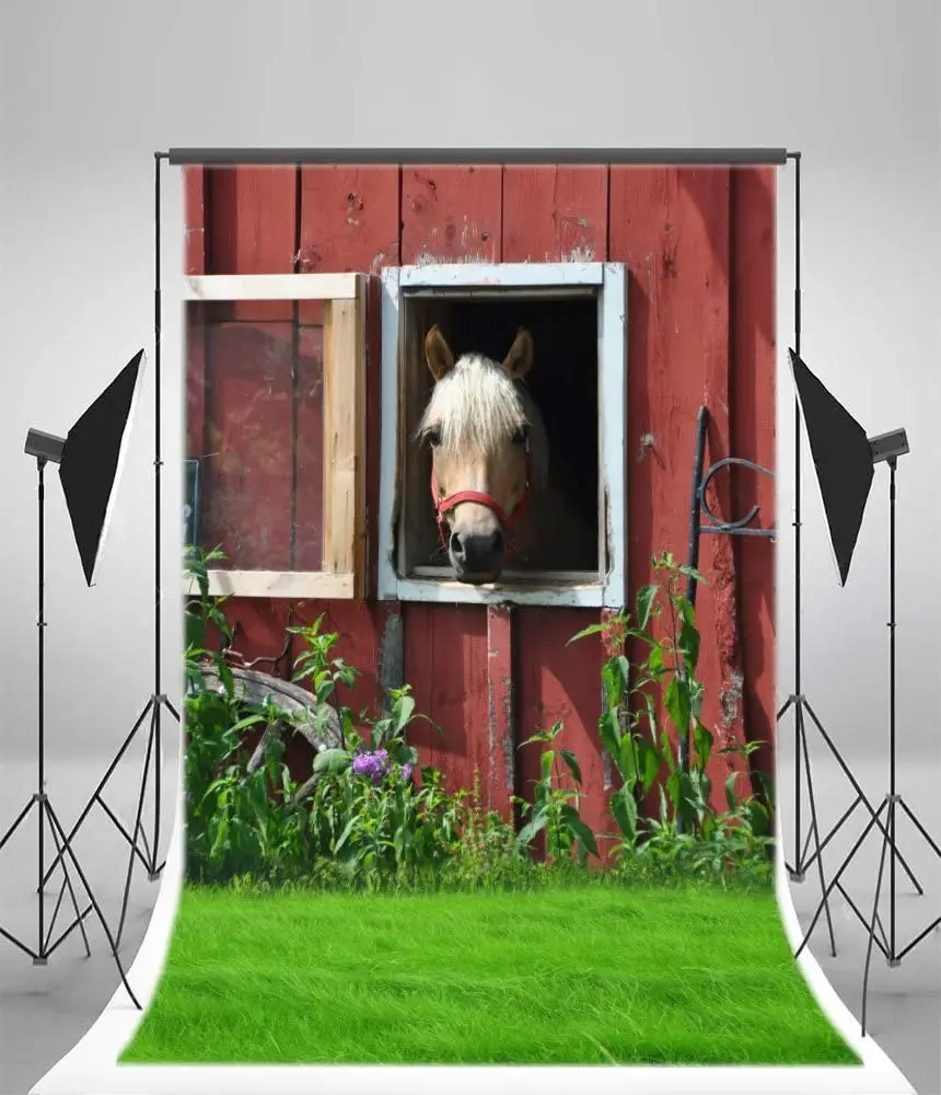 Rustic Rural Horse Stable House Photography Background Cowboy Green Grassland Small Fancy Window Wall Backdrop Children Kids
Rustic Rural Horse Stable House Photography Background Cowboy Green Grassland Small Fancy Window Wall Backdrop Children Kids
