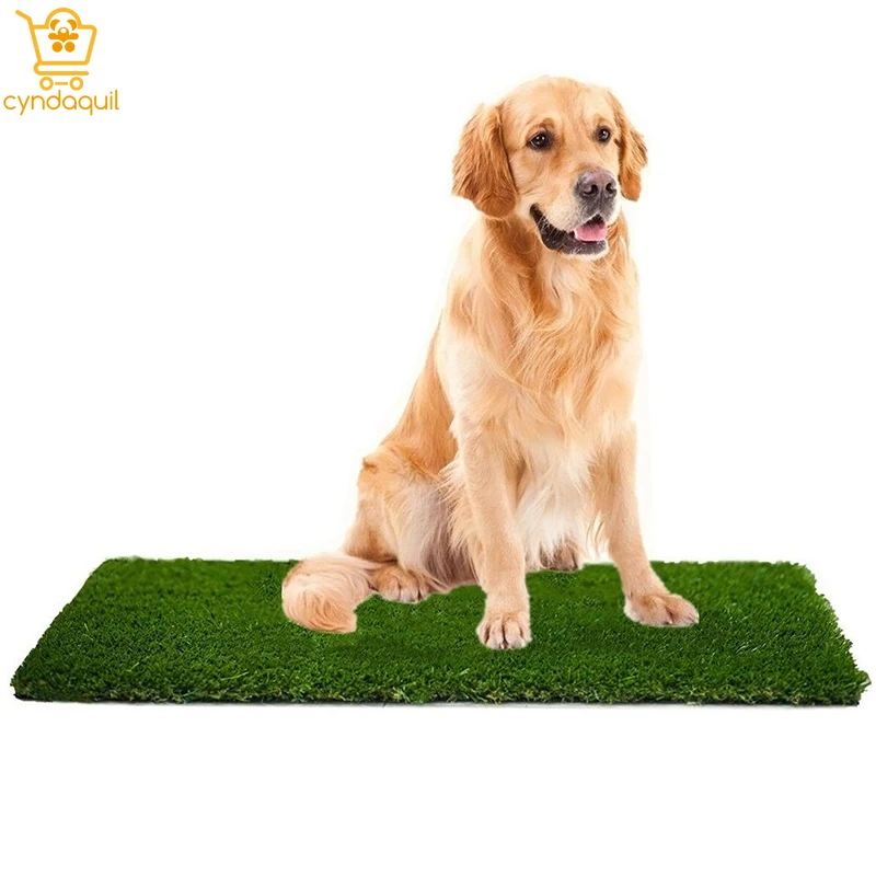 Professional Dog Grass Mat Artificial Grass Outdoor Natural Dog Grass Bed Water Bowl for Dogs Accessoires Toys for Dogs Car Mats
Professional Dog Grass Mat Artificial Grass Outdoor Natural Dog Grass Bed Water Bowl for Dogs Accessoires Toys for Dogs Car Mats