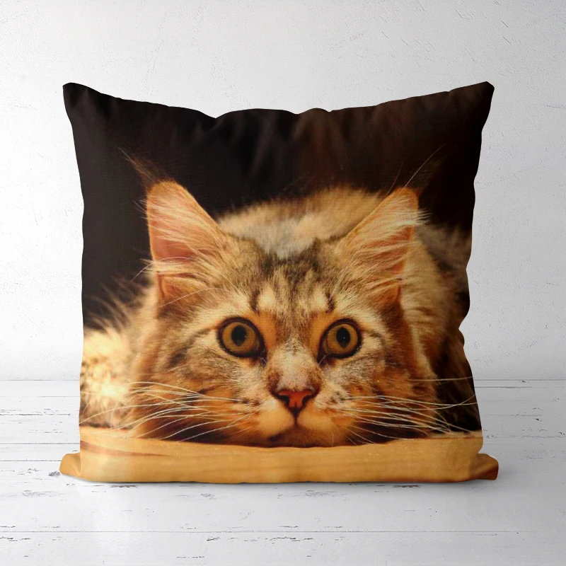 Can choose size Throw Pillow case Cute style Sofa Bed Home Animal pattern Decorative Pillowcases
Can choose size Throw Pillow case Cute style Sofa Bed Home Animal pattern Decorative Pillowcases