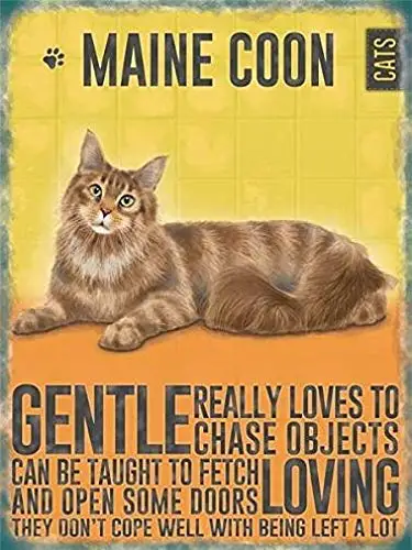 New Tin Sign Vintage Style Metal Wall Sign Plaque Maine Coon Cat Kitten - Ideal Gift Metal Sign for Wall Decor
New Tin Sign Vintage Style Metal Wall Sign Plaque Maine Coon Cat Kitten - Ideal Gift Metal Sign for Wall Decor