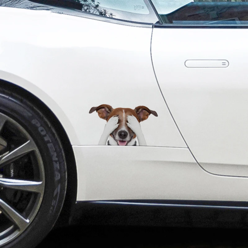 Lifelike Car Stickers Jack Russell Terrier Sticker Surfboard Fine Decal Graffiti Sticker Vinyl Material Waterproof Decoration
Lifelike Car Stickers Jack Russell Terrier Sticker Surfboard Fine Decal Graffiti Sticker Vinyl Material Waterproof Decoration