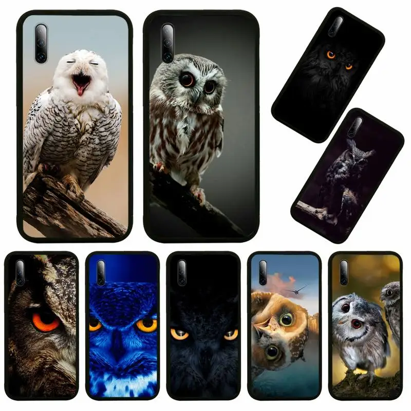 Luxury Cute Owls Phone Case For Huawei Honor View V 5 7 8 9 10 20 30 X S Play Lite Pro Cover
Luxury Cute Owls Phone Case For Huawei Honor View V 5 7 8 9 10 20 30 X S Play Lite Pro Cover
