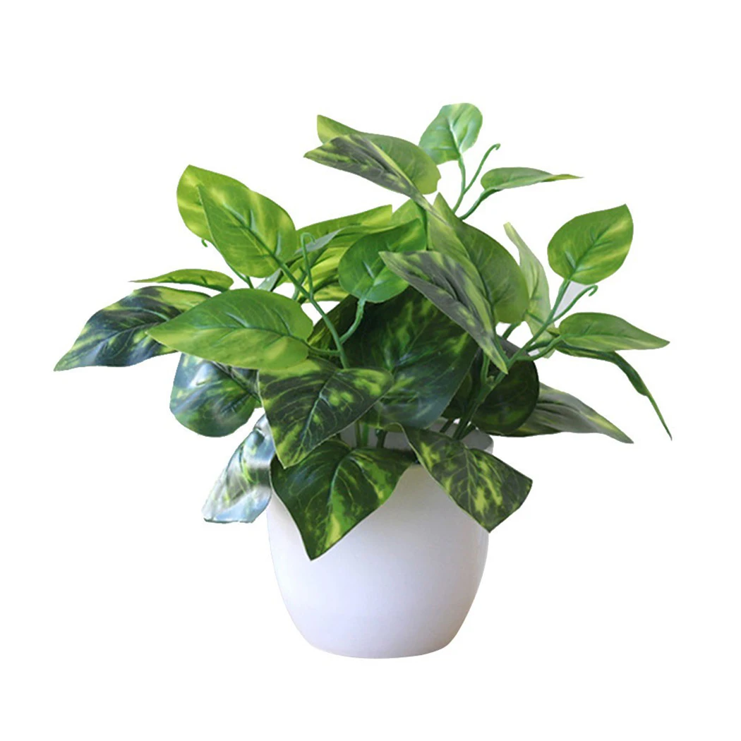 1PCS Fresh Artificial Foliage Desktop Plant Potted Small Tree Fake Flower Potted Office Desktop Home Decor DIY Lifelike Ornament
1PCS Fresh Artificial Foliage Desktop Plant Potted Small Tree Fake Flower Potted Office Desktop Home Decor DIY Lifelike Ornament