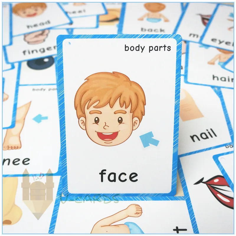 

36pcs Montessori Toddler Flash Cards Five Senses Body Parts English Cognitive Card Memory Game For Kids Classroom Decoration