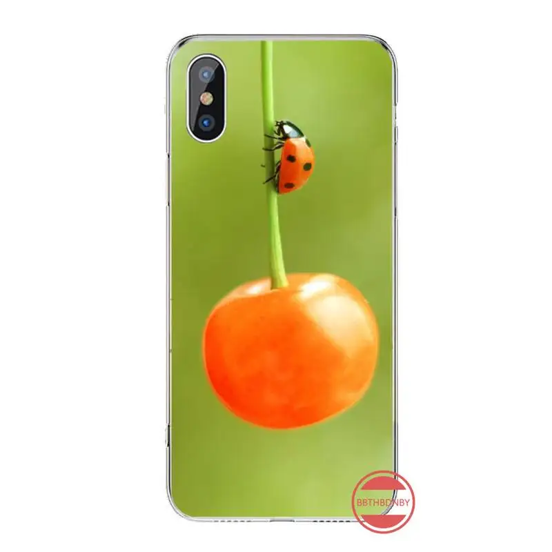 ladybug cute animal Four leaf clover Phone Case For iphone 12 5 5s 5c se 6 6s 7 8 plus x xs xr 11 pro max
ladybug cute animal Four leaf clover Phone Case For iphone 12 5 5s 5c se 6 6s 7 8 plus x xs xr 11 pro max